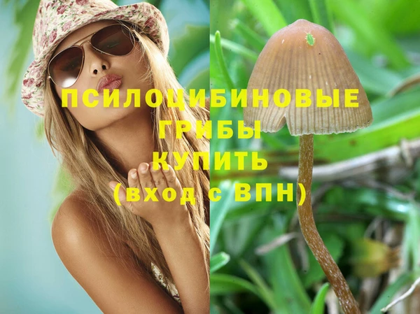 прущие крисы Абинск