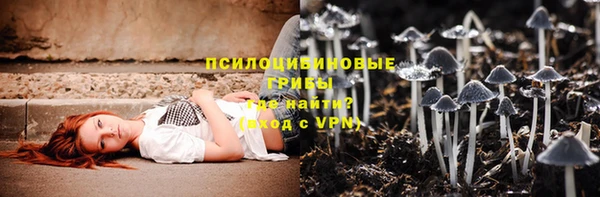 прущие крисы Абинск