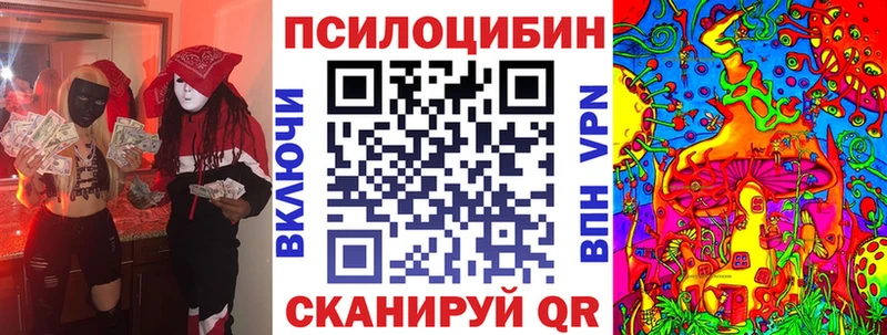 наркотики  kraken как войти  Галлюциногенные грибы MAGIC MUSHROOMS  Дубовка 